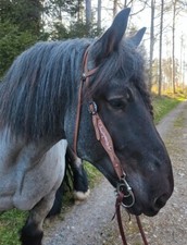 Exklusiv qhp westerntrense - exklusiv,