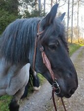EXKLUSIV QHP Westerntrense MILO, Kaltblut Stickerei rosa, Kaltbluttrense braun