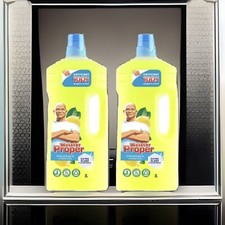 2x 1 l Meister Proper