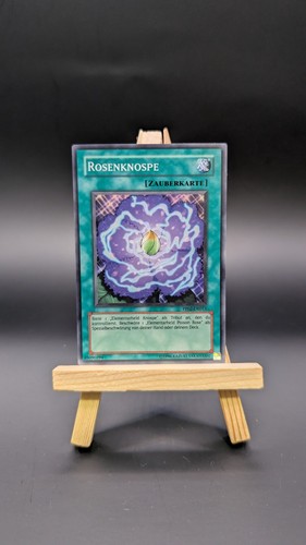 Rosenknospe - -, super