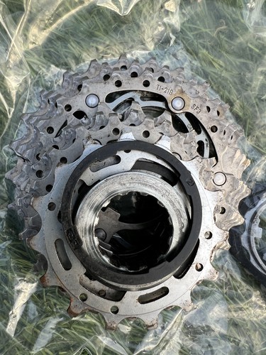 Campagnolo record speed - record, 11