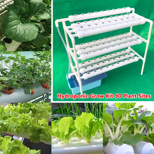 Hydroponic system - hydroponic,