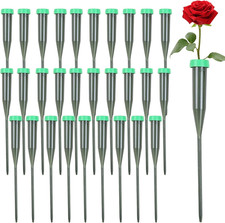 Blumenstiel Wasserröhrchen