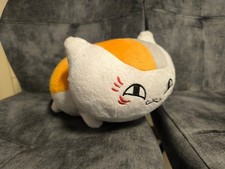 Natsume's Book of Friends -