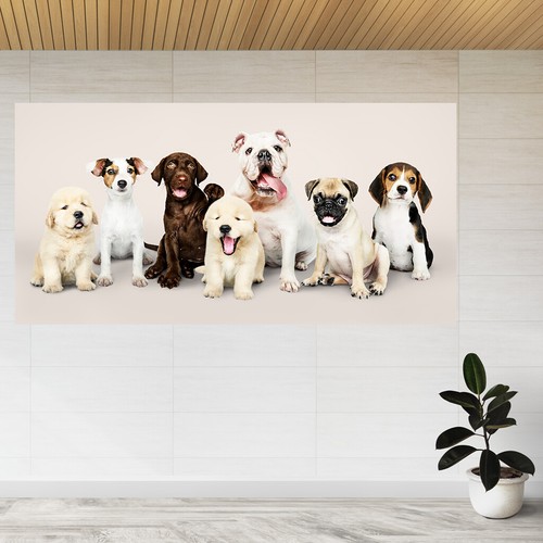 Portrait adorable puppies - adorable,