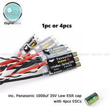 Favorite FVT Little Bee Spring