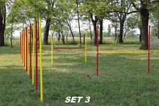 AGILITY-COMBI !  1 x SLALOM /