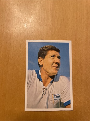 Bergmann 1965 239 - 1965/66,