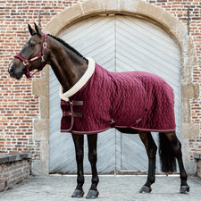 Kentucky Horsewear Show Rug