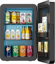 22L Mini Kühlschrank Tragbar