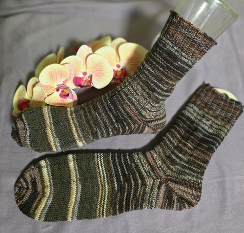 Sockes liebevoll - *-sockes-*, 💜liebevoll