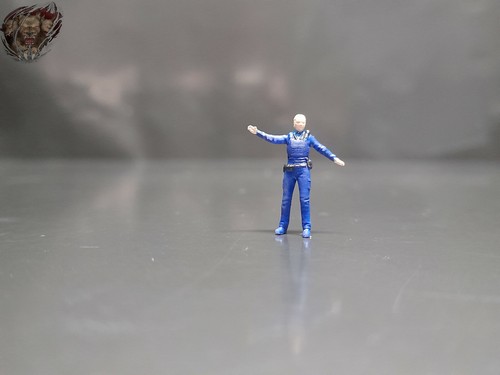 Wachdienst polizei frau - wachdienst,