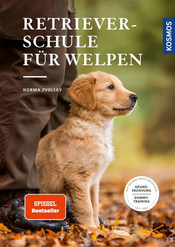 Retrieverschule für welpen - retrieverschule,