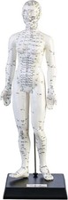 Neu meridianpuppe akupunktur - meridianpuppe,