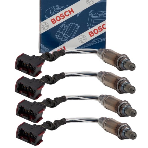 Bosch vor nach - vor+nach, kat