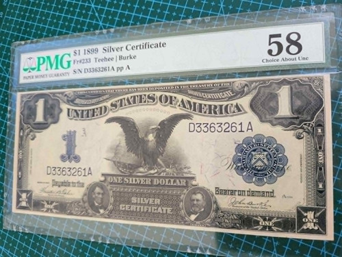 1899 silber zertifikat - silber,