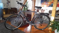 Zoll gazelle herren - zoll,