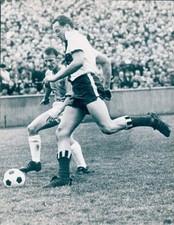 Foto fußball dfb - foto, fußball,