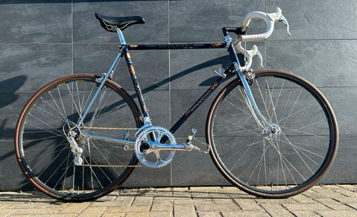 Daccordi 50th anniversary