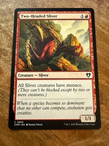 Two headed sliver - two-headed,