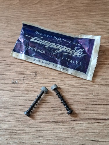 Campagnolo rear dropout - rear,