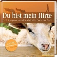 Bist mein hirte c h - du,