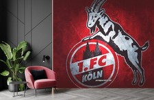 Vinyl Vlies FOTOTAPETE