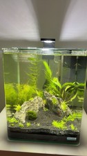 Dennerle Nano Cube Aquarium