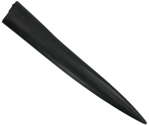Dogger megateuthis gigantea - dogger,