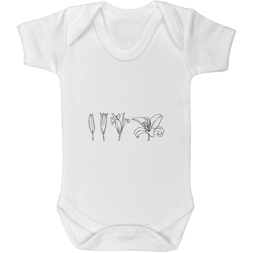 Bloom lily baby - 'bloom, grows