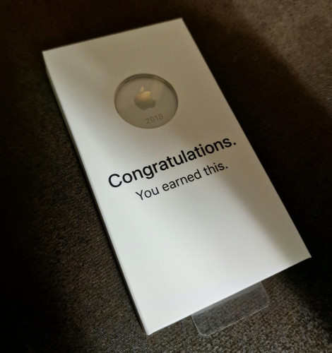 Apple 2018 sales award - apple,