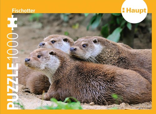 Fischotter - ,