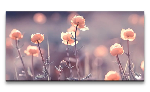 120x60cm leinwandbild - 120x60cm,