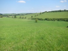 Foto A2 Eine friedliche Weidewiese über dem Parkhead Burn Synton c2013