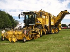 Foto 6x4 ROPA \"Tiger 5\"