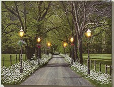 Romantische LED Bilder auf