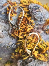 🌹Brisurohrhaken OHRBRISUREN