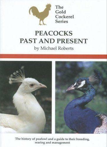 Peacocks past and present - peacocks,