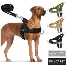 Hundegeschirr leine für - hundegeschirr,