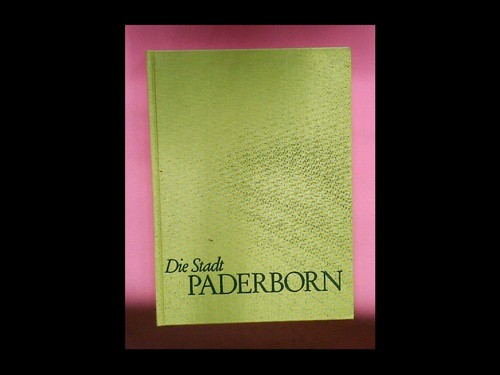 Die stadt paderborn heinz - die,