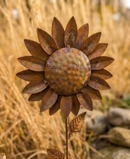 Edelrost sonnenblume - edelrost,