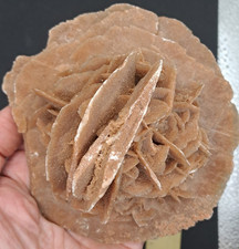 Seltene Sandrose / Kugelrose, 11cm, 570g Rarität, Deko