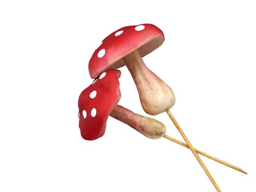 Pilz stecker schaumstoff - pilz,