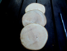 3 Baumscheiben Astscheibeb