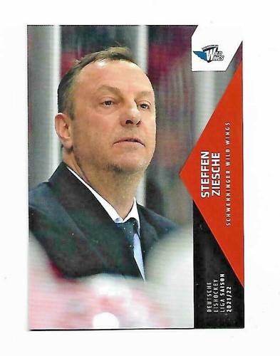Del playercard steffen - playercard, 21-22