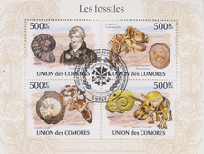 Fosilien Komoren gestempelt