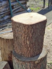 Baumstamm Hauklotz TANNE Natur