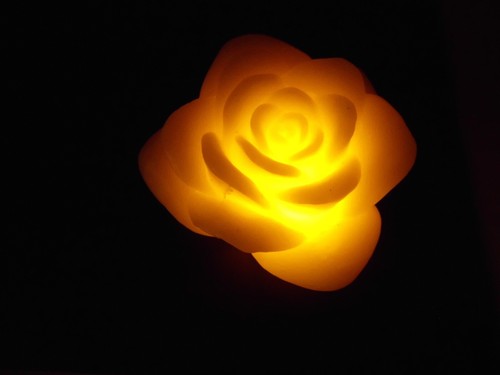 Led echtwachskerze rose - led,