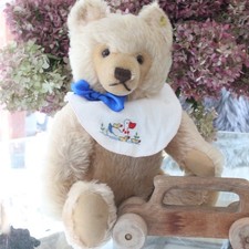 Wunderschöner Steiff Teddy