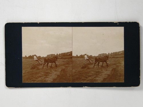 Heurechen grahigston farm - heurechen,